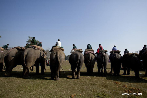 12th Elephant Festival held in Nepal