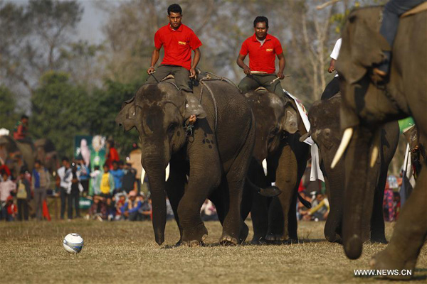 12th Elephant Festival held in Nepal