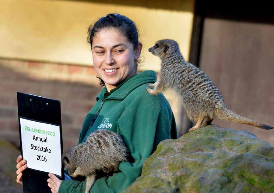 London Zoo starts annual stocktake of animals