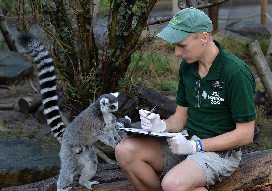 London Zoo starts annual stocktake of animals