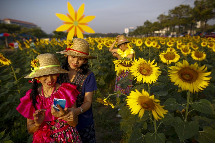 The world in photos: Jan 11 - 17