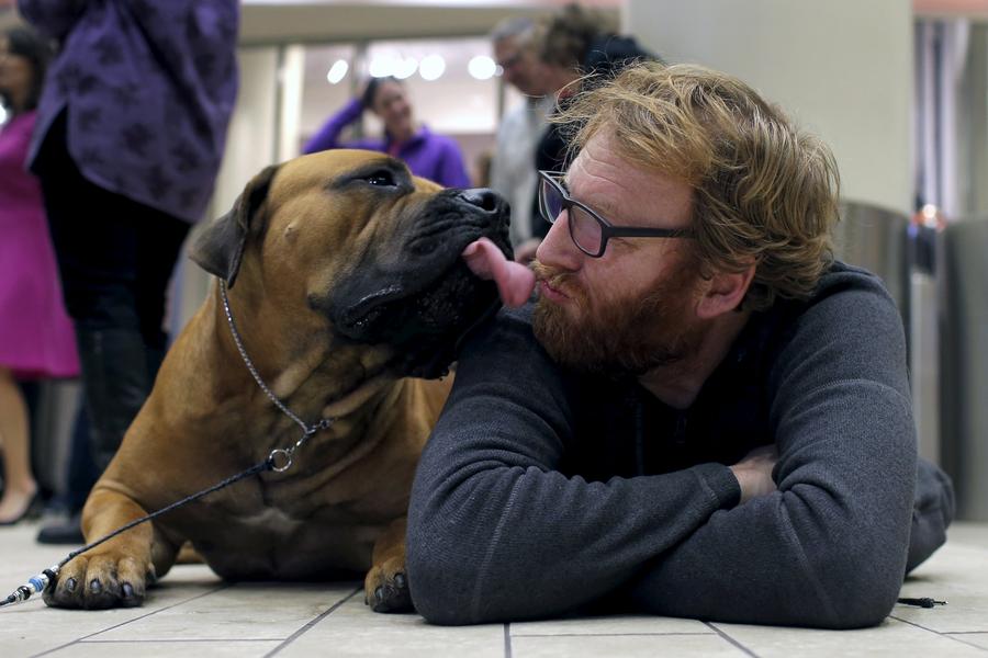 Seven new breeds added to Westminster dog show