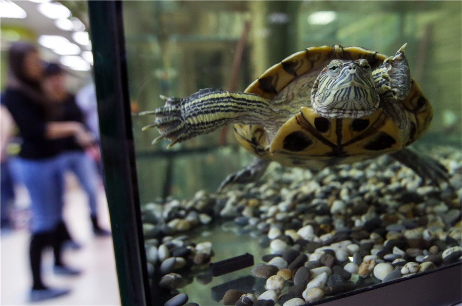 Moscow's largest petting zoo opens