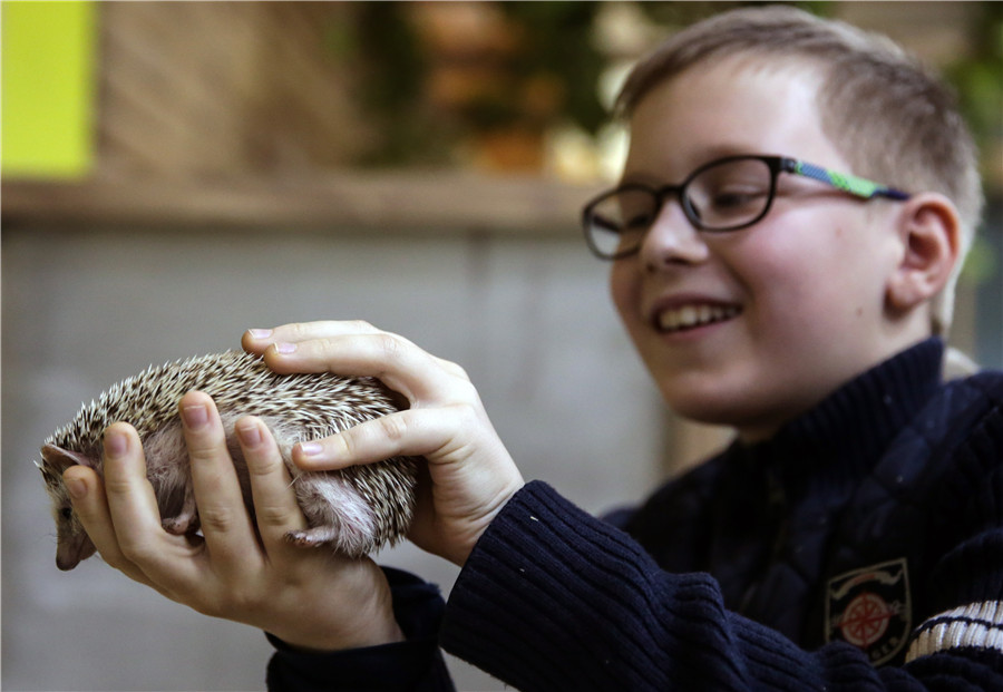 Moscow's largest petting zoo opens