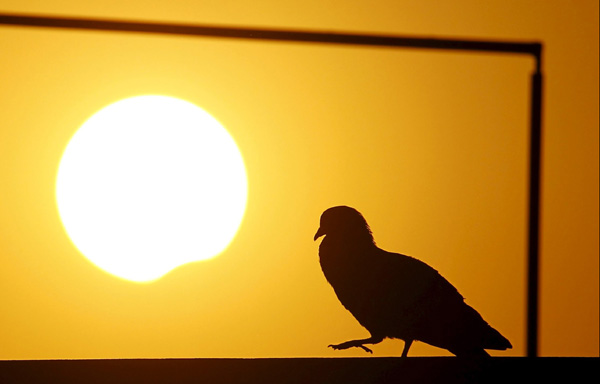 South East Asia experiences rare total solar eclipse