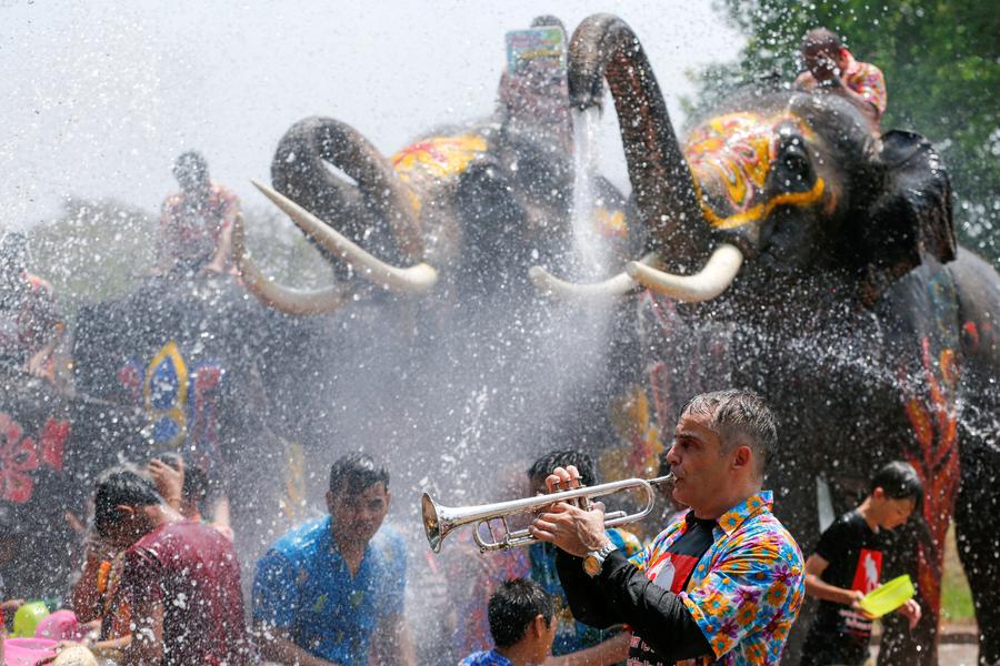 Water fight with elephants in Thailand