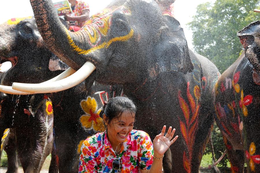 Water fight with elephants in Thailand