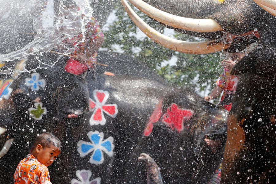 Water fight with elephants in Thailand