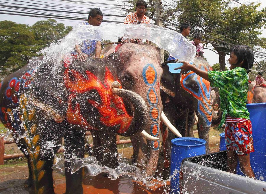 Water fight with elephants in Thailand