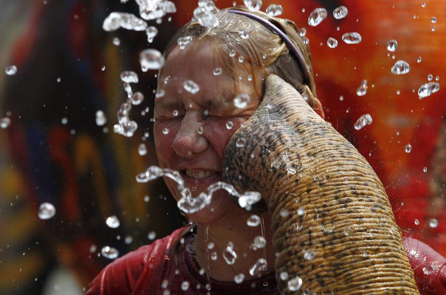 Water fight with elephants in Thailand