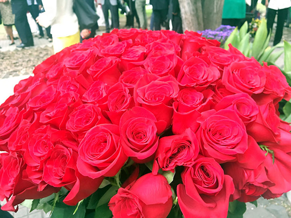 Thousands of flowers flown from Colombia to Beijing for showcase