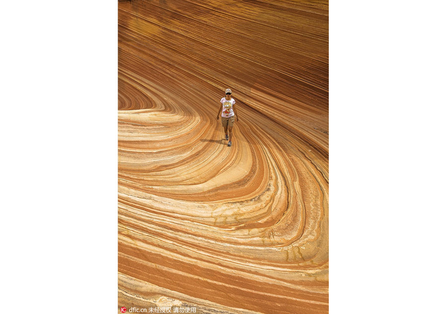 Alien-looking landscape: Paria Canyon in Arizona