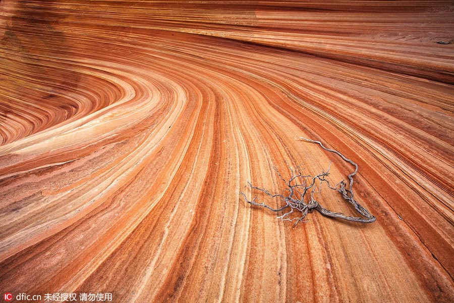 Alien-looking landscape: Paria Canyon in Arizona