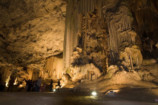 Explore Klein Karoo of South Africa: Ostrich, Meerkat, and Cango Cave