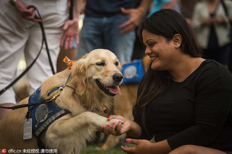 Therapy dog helps comfort mourners in Orlando