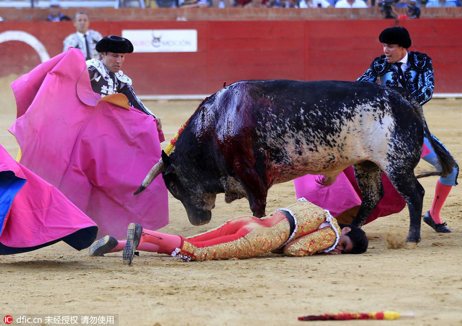 Spanish bullfighter gored to death