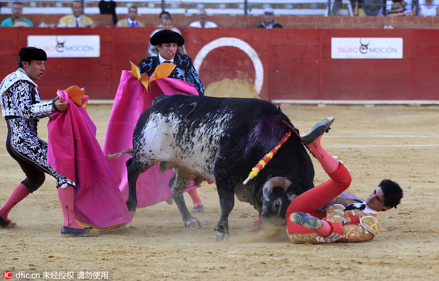 Spanish bullfighter gored to death