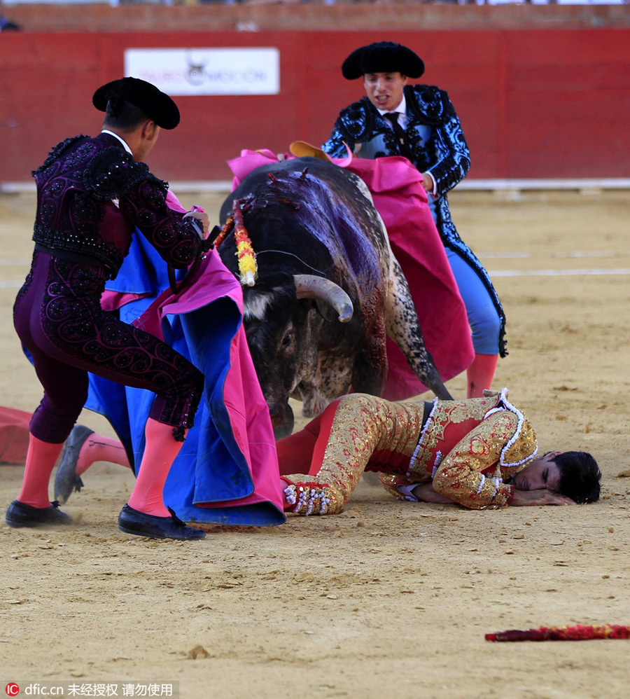 Spanish bullfighter gored to death