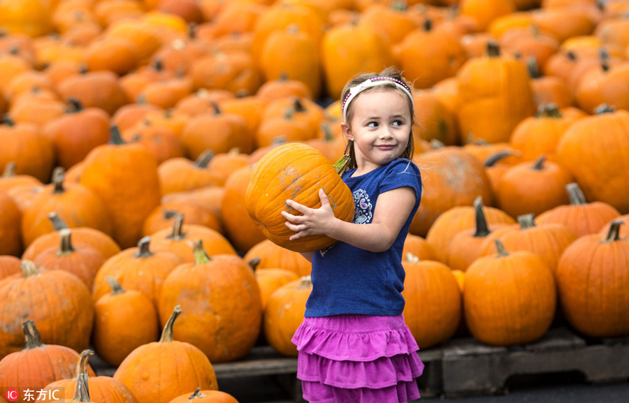 The world in photos: Oct 10 - 16