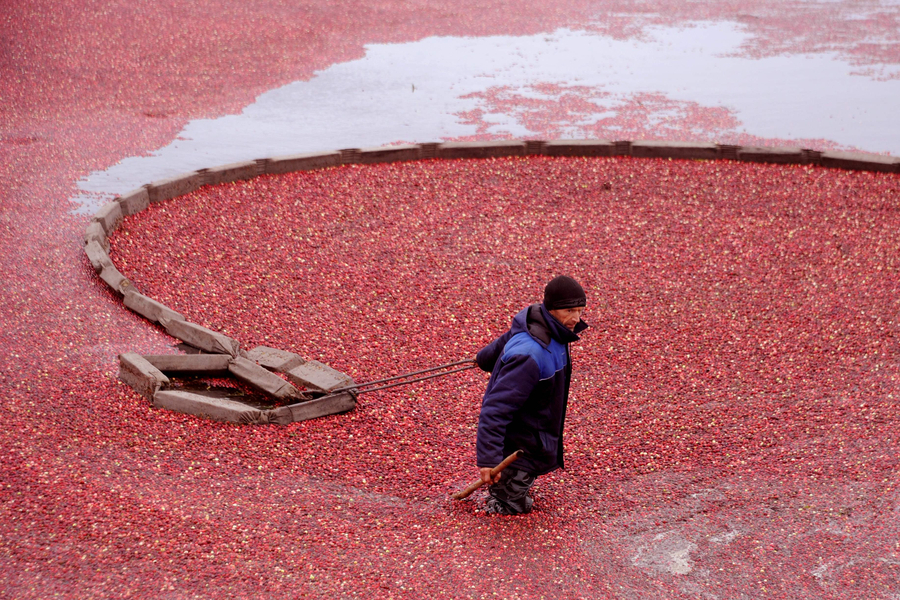 The world in photos: Oct 10 - 16