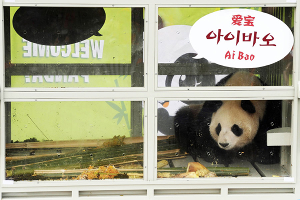 A short history of panda fever worldwide