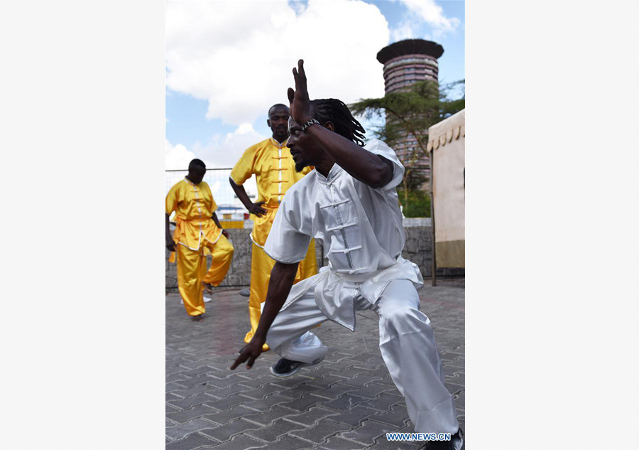 Kungfu Festival kicks off in Kenya