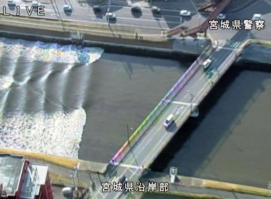 Powerful quake hits Fukushima, tsunami warning downgraded