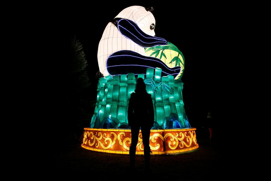 Silk Road lanterns light up British gardens for Lunar New Year