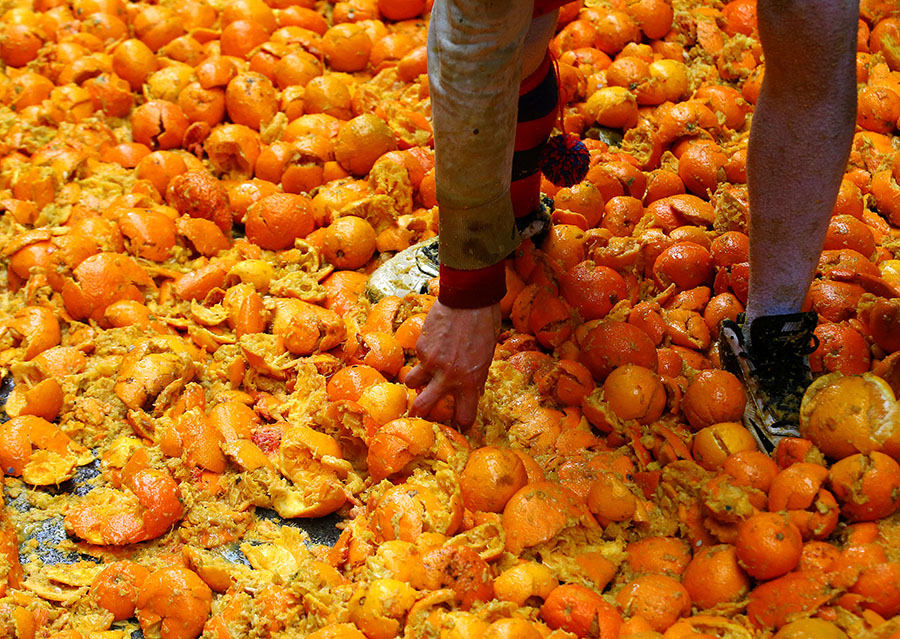 Italian town's carnival: The battle of oranges