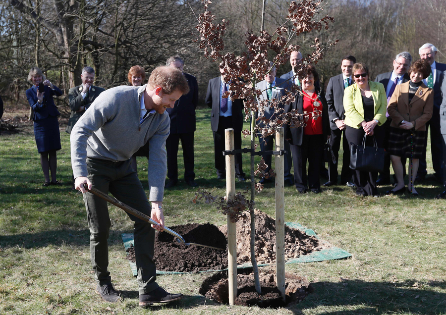 Prince Harry helps students grow 'Queen's canopy'