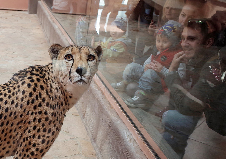 World in photos: May 1 - May 7