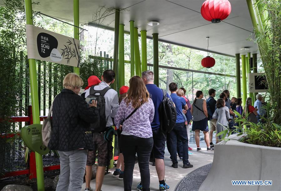 People visit pandas from SW China at Zoo Berlin