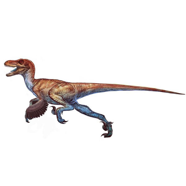 Chinese and Iranian scientists discover ferocious dinosaur tracks