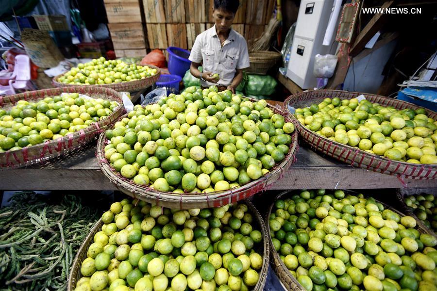 Myanmar exports about 95 percent of fruits to China