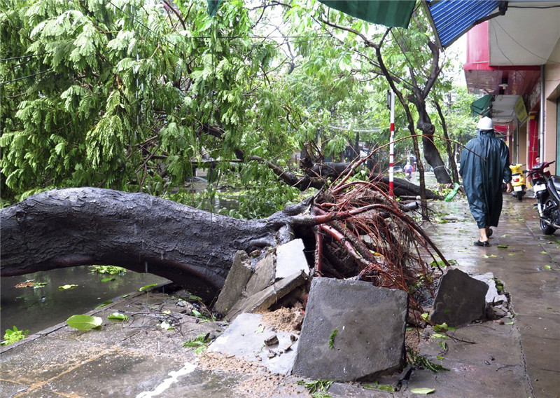 61 dead as Typhoon Damrey hits central Vietnam