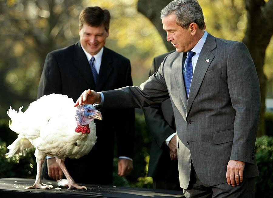 Thanksgiving story: US presidents and pardoned turkeys