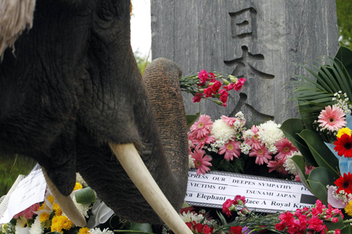 Mourn for the quake victims in Japan