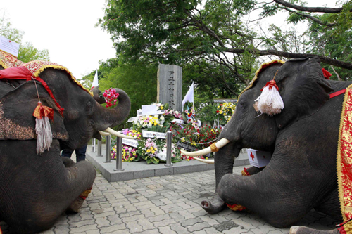 Mourn for the quake victims in Japan