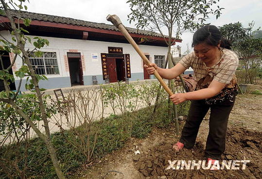 汶川地震一周年：青川依旧在 恢复重建忙