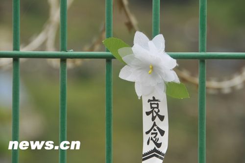 北川老县城昨开城 数万民众祭奠遇难同胞(图)