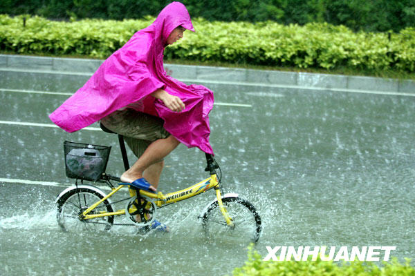 暴雨过后 街道成泽国[组图]