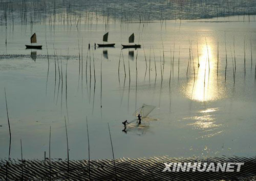 美丽的滩涂风光[组图]