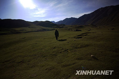 美丽的夏季草场[组图]