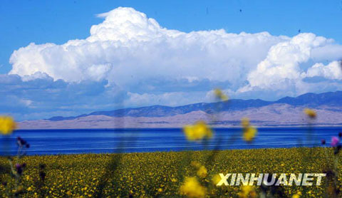 夏日青海湖[组图]