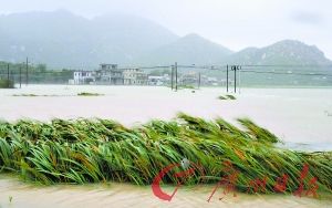 台风巨爵造成广东百万人受灾1人失踪(组图)