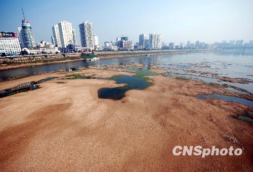 中国南方多地现旱情 降水量异常偏少致干旱(图)