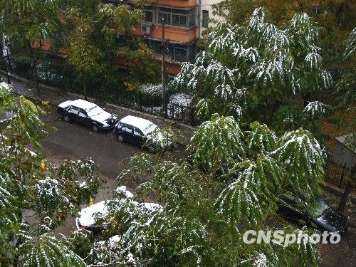 北京受降雪影响部分航班延误 已启动应急预案