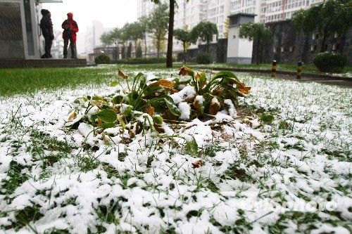 北京受降雪影响部分航班延误 已启动应急预案