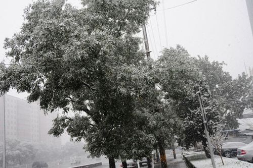 北京受降雪影响部分航班延误 已启动应急预案