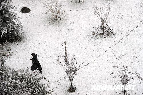 北京受降雪影响部分航班延误 已启动应急预案